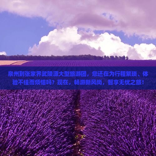 泉州到张家界武陵源大型旅游团