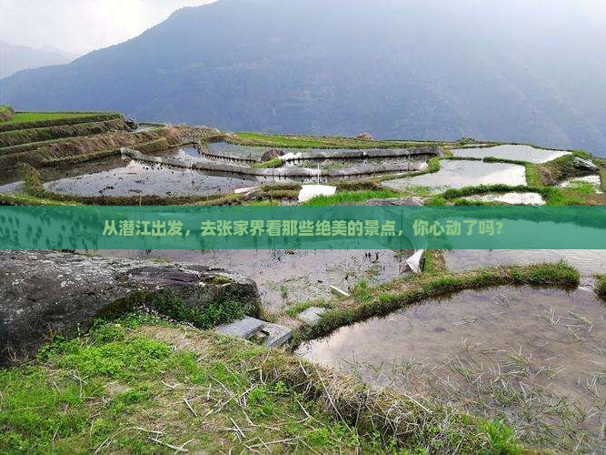 潜江到张家界景点