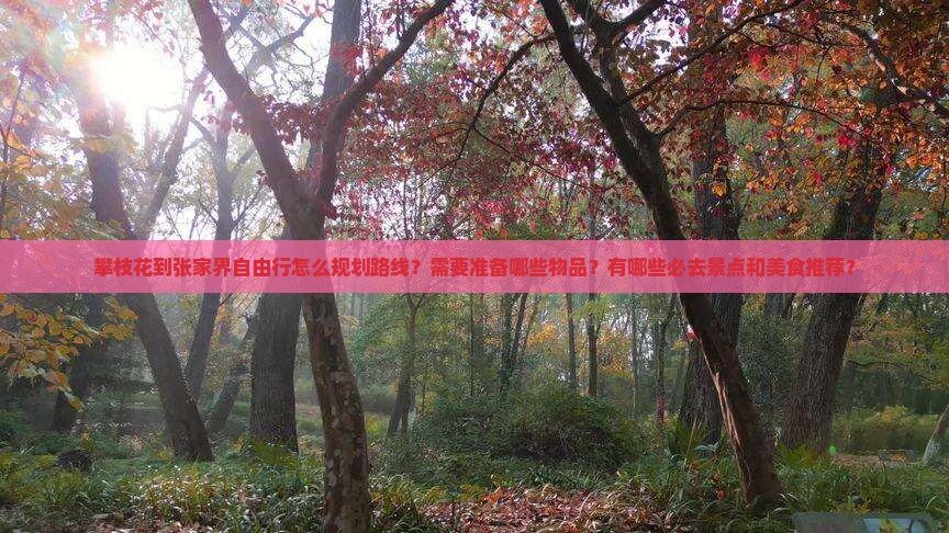 攀枝花到张家界自由行