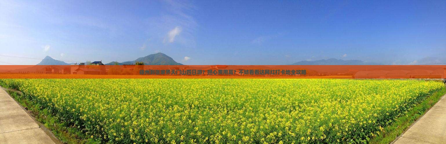 徐州到张家界天门山四日游