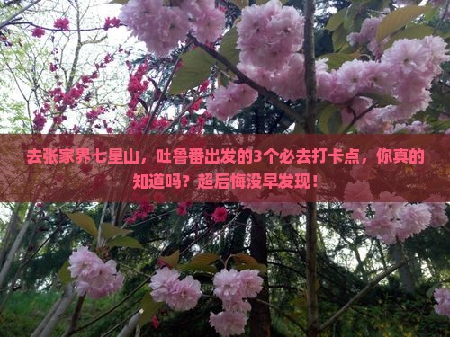吐鲁番去张家界七星山必去地