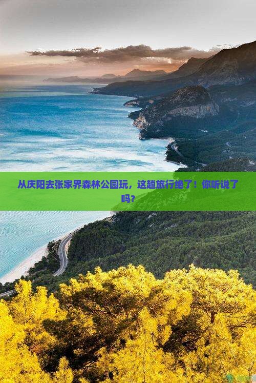 庆阳到张家界森林公园旅游