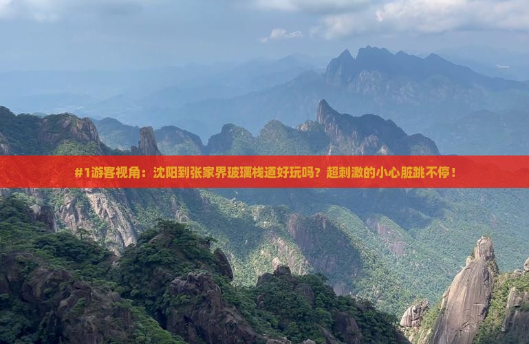 沈阳去张家界玻璃栈道必去地