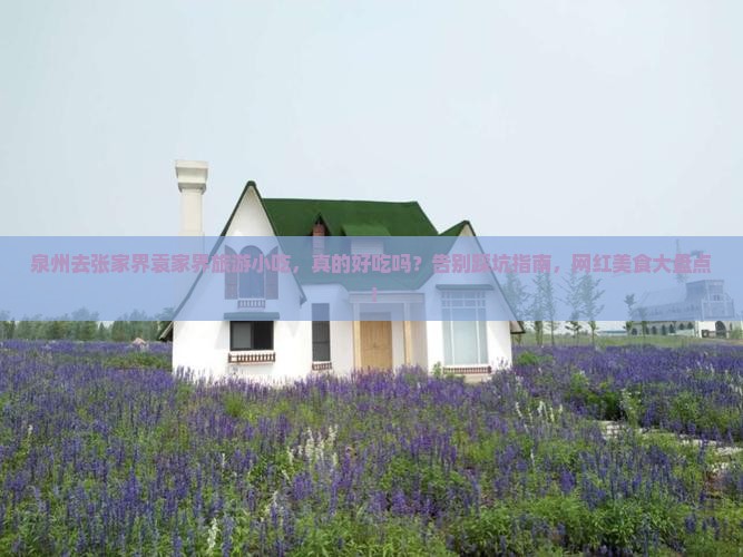 泉州去张家界袁家界旅游小吃