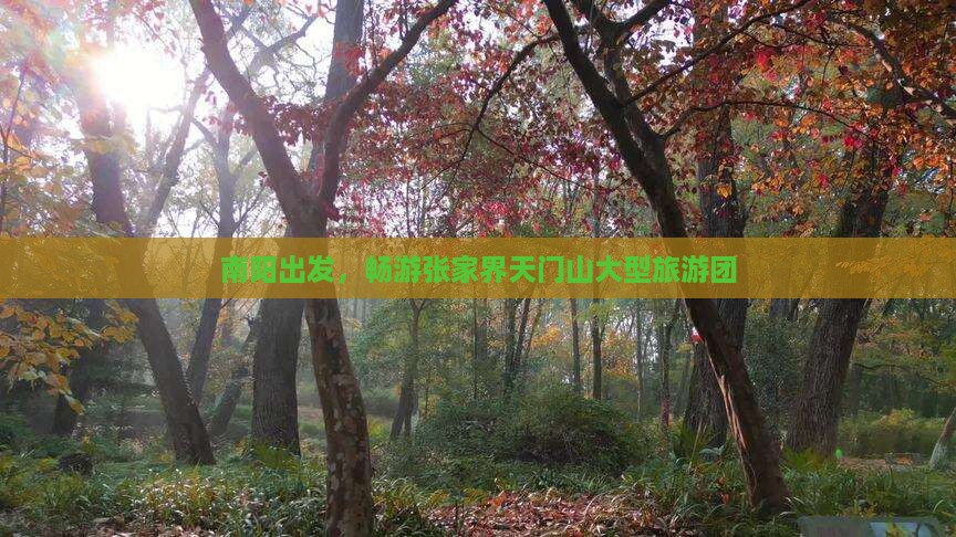 南阳到张家界天门山大型旅游团