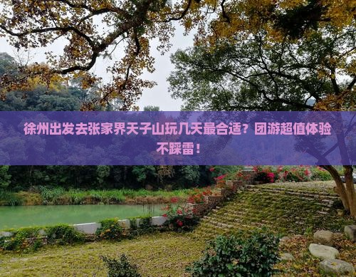 徐州去张家界天子山团体旅游
