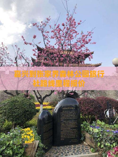 嘉兴到张家界森林公园旅行社