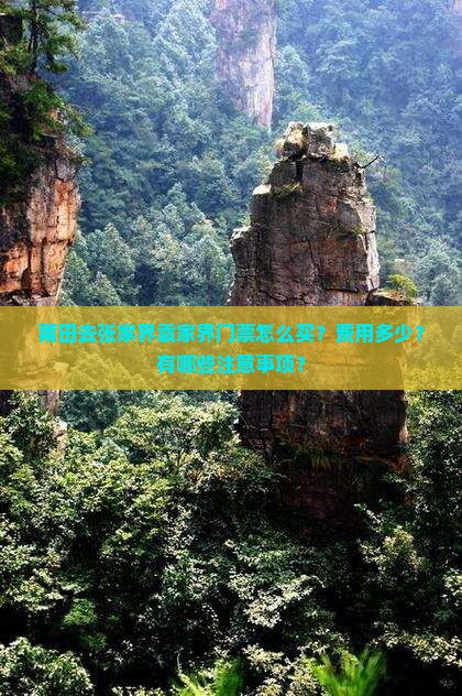 莆田去张家界袁家界门票
