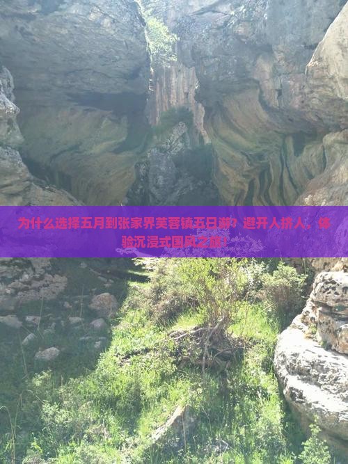 五月到张家界芙蓉镇五日游