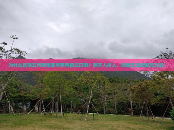 五月到张家界芙蓉镇五日游