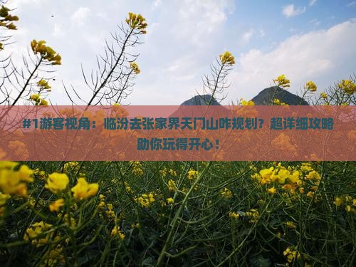 临汾去张家界天门山景点
