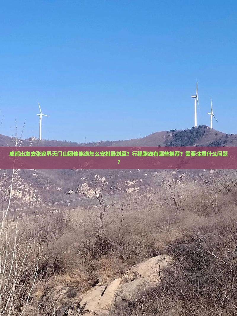 成都去张家界天门山团体旅游