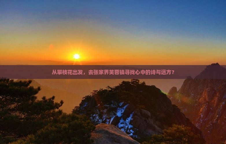 攀枝花到张家界芙蓉镇团体旅游