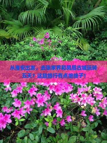 淮安到张家界凤凰古城五日游