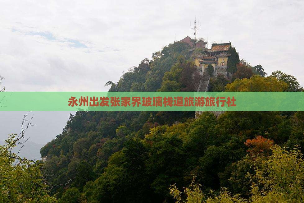 永州去张家界玻璃栈道旅行社