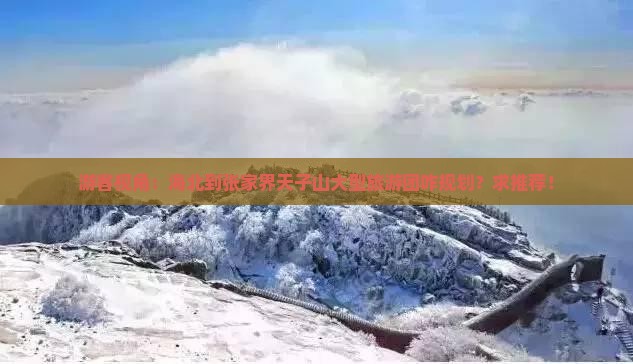 海北到张家界天子山大型旅游团