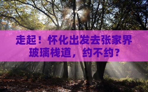 怀化到张家界玻璃栈道团体旅游
