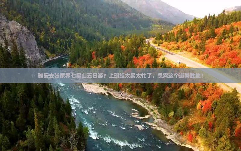 雅安去张家界七星山五日游