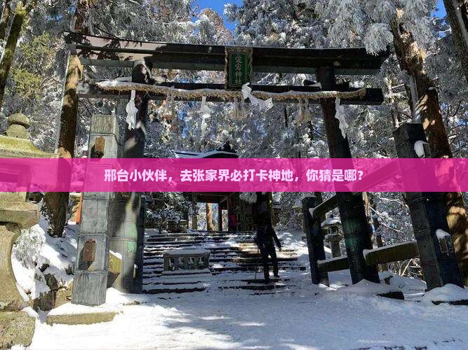 邢台去张家界必去地