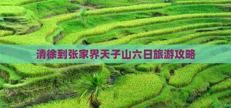 清徐到张家界天子山六日游