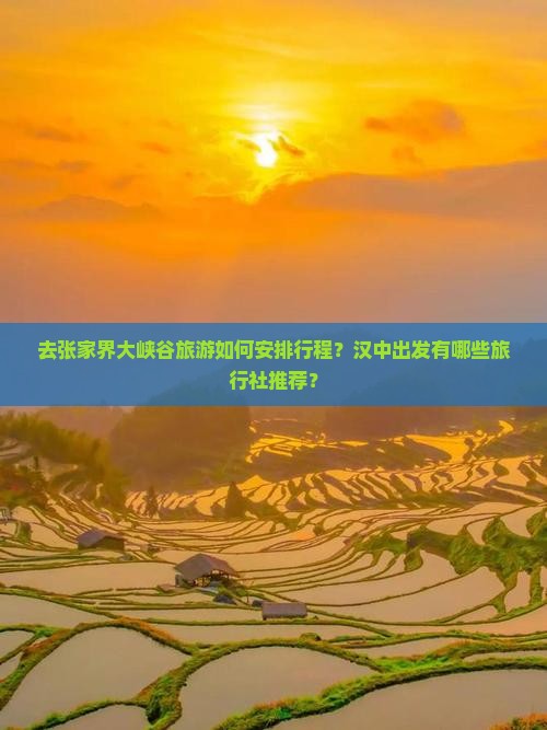 汉中去张家界大峡谷旅行社