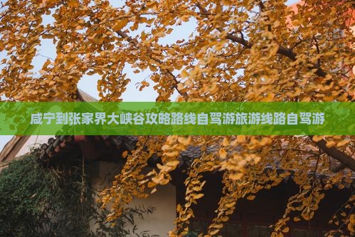 咸宁到张家界大峡谷攻略