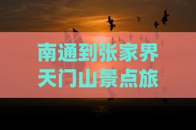 南通到张家界天门山景点