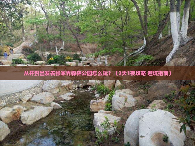 开封去张家界森林公园景点