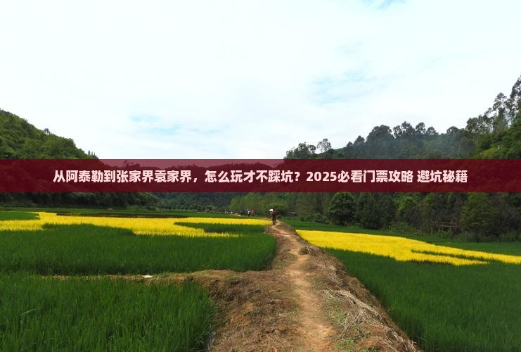 阿泰勒到张家界袁家界门票