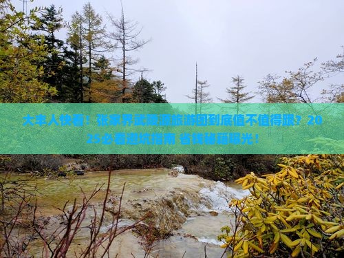 大丰去张家界武陵源大型旅游团