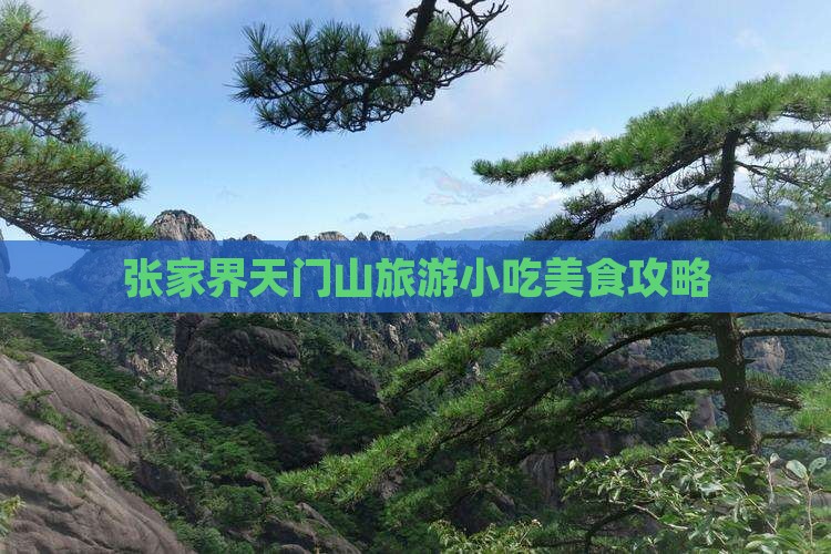 吉安去张家界天门山旅游小吃