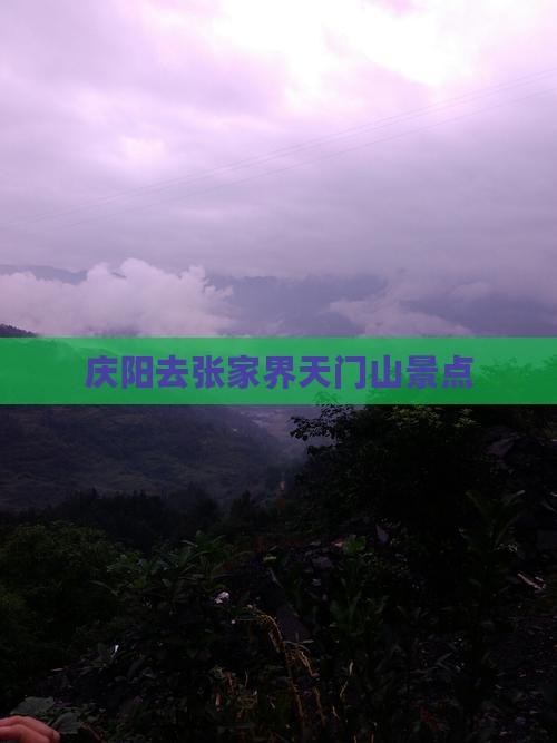 庆阳去张家界天门山景点