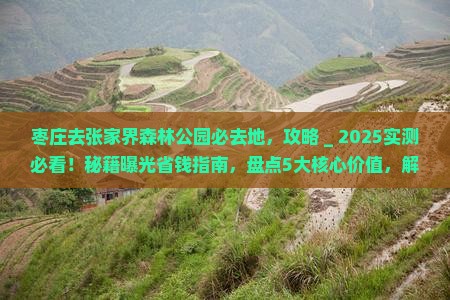 枣庄去张家界森林公园必去地