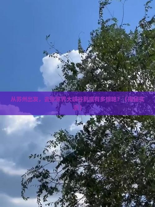 苏州去张家界大峡谷旅游
