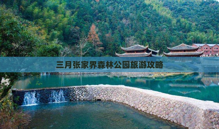 三月去张家界森林公园个人游
