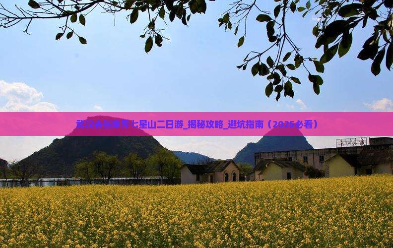 武汉去张家界七星山二日游