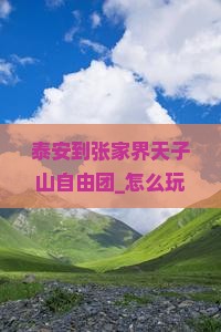 泰安到张家界天子山自由团