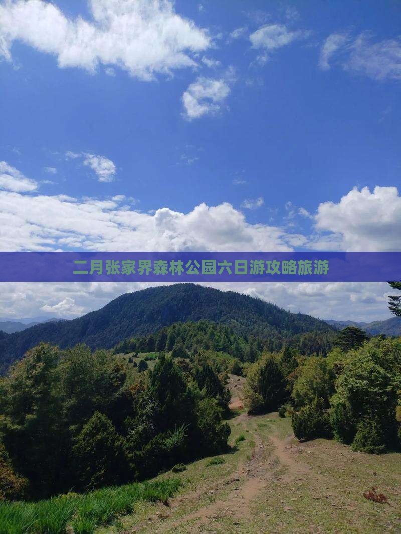 二月到张家界森林公园六日游