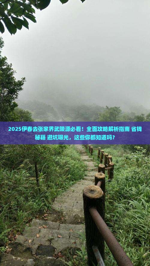 伊春去张家界武陵源攻略
