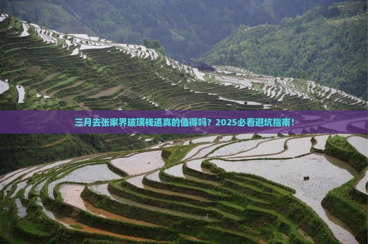 三月去张家界玻璃栈道攻略