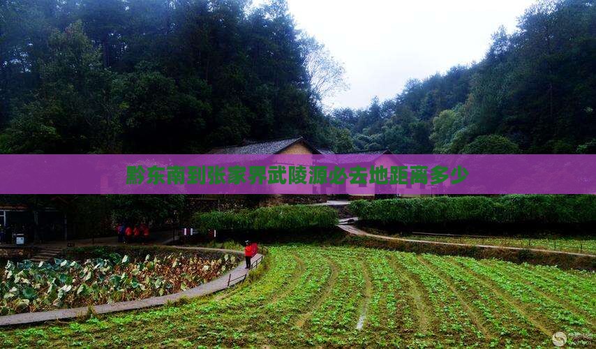 黔东南到张家界武陵源必去地