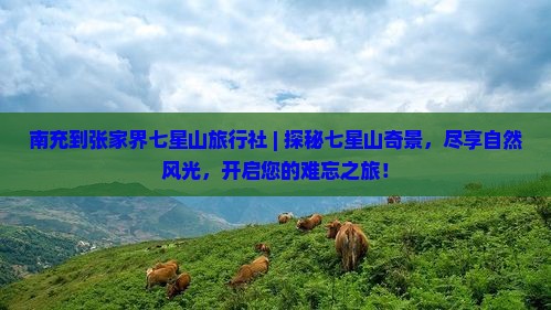 南充到张家界七星山旅行社