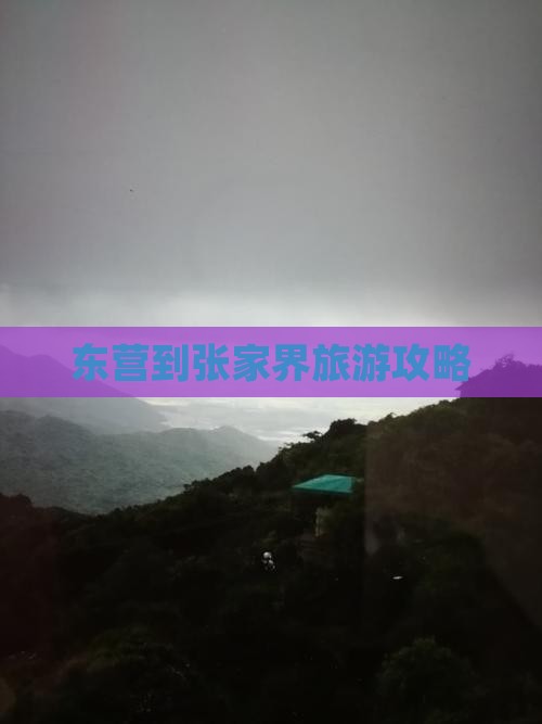 东营到张家界森林公园旅行社