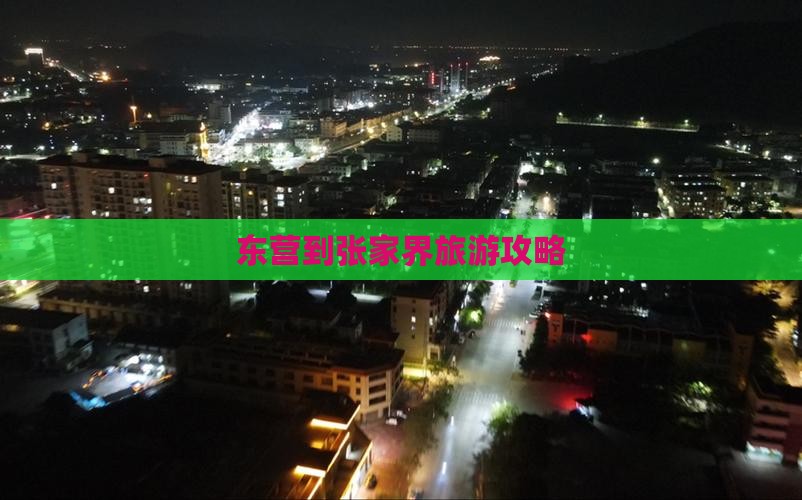 东营到张家界森林公园旅行社