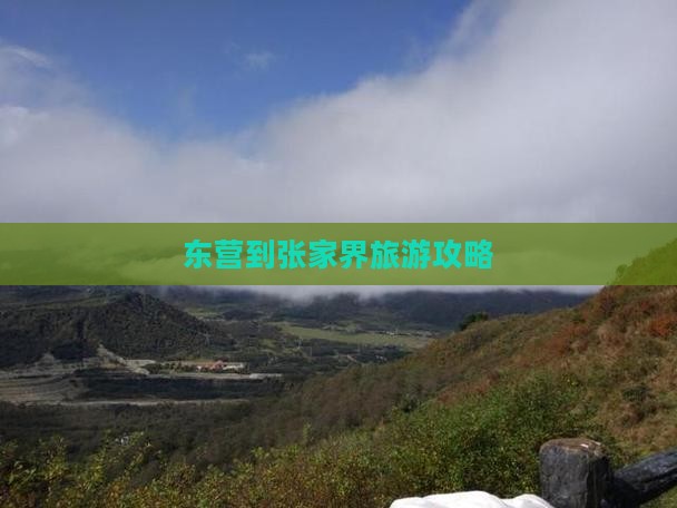东营到张家界森林公园旅行社