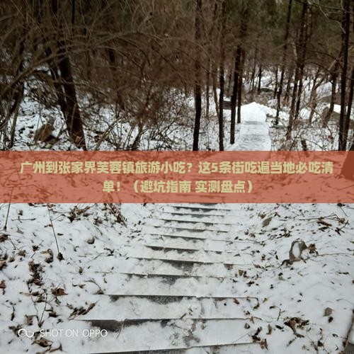 广州到张家界芙蓉镇旅游小吃