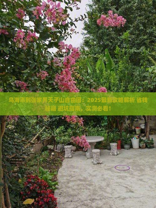 乌海市到张家界天子山自由团