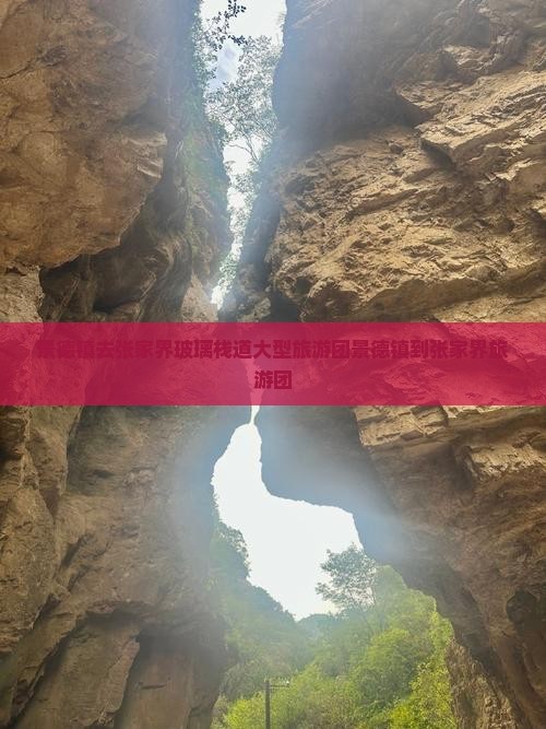 景德镇去张家界玻璃栈道大型旅游团