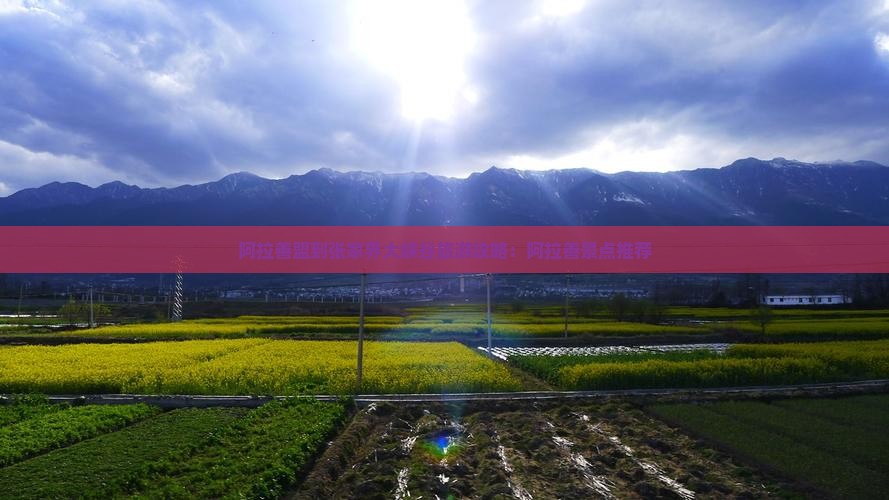 阿拉善盟到张家界大峡谷哪里玩