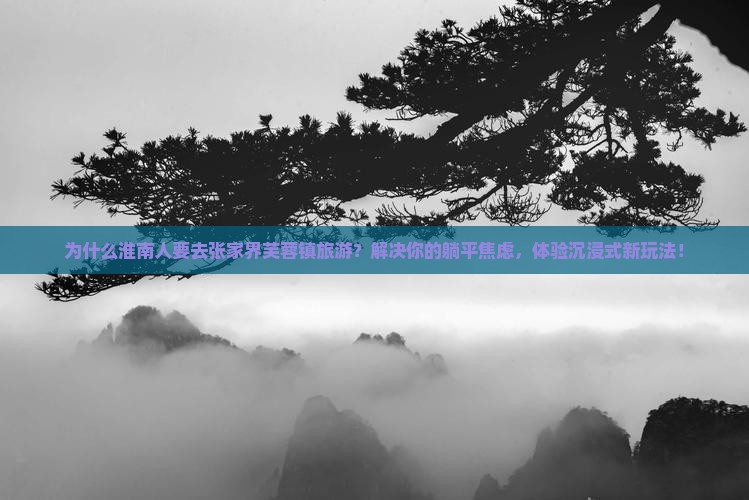淮南去张家界芙蓉镇旅游